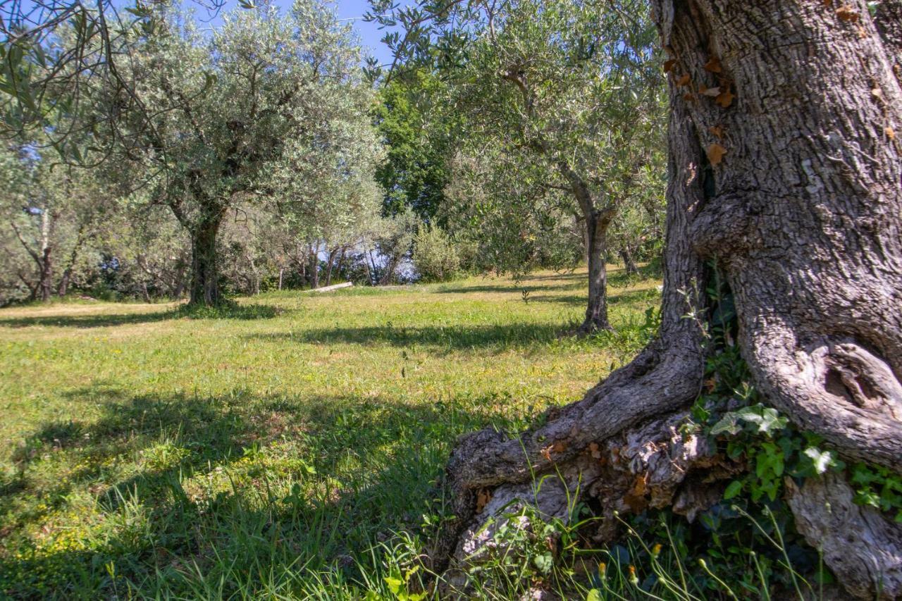 Agriturismo Filettro Villa Volterra Esterno foto
